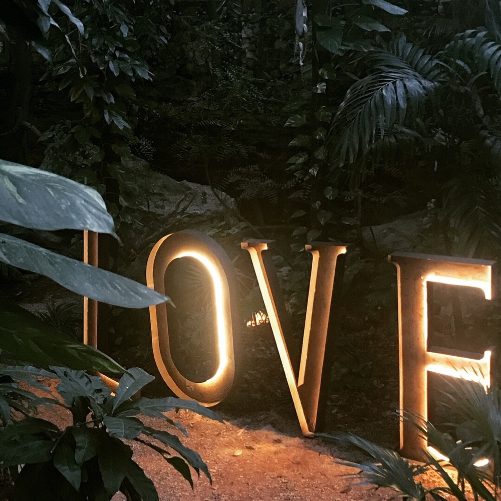 Meet your Posher, Ann